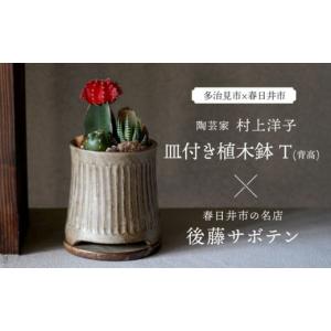 ふるさと納税 岐阜県 多治見市 多治見市×春日井市コラボ 【美濃焼】 陶芸家「村上洋子」 皿付き植木鉢 T(背高) × 【日本有数のサボテンの生産地】 春日井市…