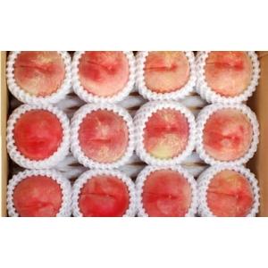 ふるさと納税 もも 山形県 天童市 08-02-004　硬い もも(美晴白桃)3kg