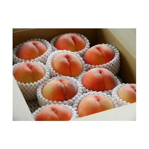 ふるさと納税 もも 山形県 天童市 08-02-006　もも(黄金桃 無袋)約4kg