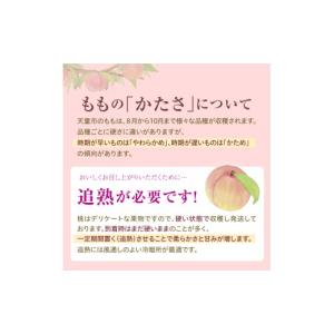 ふるさと納税 もも 山形県 天童市 08-02...の詳細画像2
