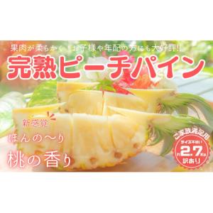ふるさと納税 果物類 岩手県 遠野市 ブルーベリー 生 400g 100g ふるさと納税 果物類 岩手県 遠野市 ブルーベリー 生 400g 100g