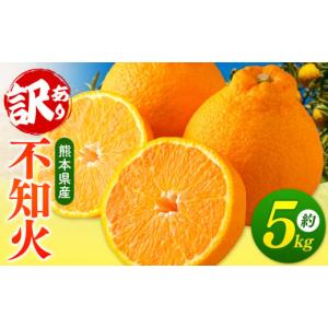 ふるさと納税 みかん・柑橘類 デコポン 熊本県 玉名市  ご家庭用 訳あり 不知火 5kg （ デコポン と 同品種 ) | 果物 くだもの フルーツ 柑橘 柑橘類 みかん …