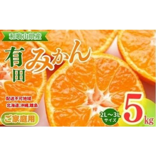 ふるさと納税 果物類 みかん 和歌山県 美浜町  ご家庭用 和歌山有田みかん約5kg(2L、3Lサイ...