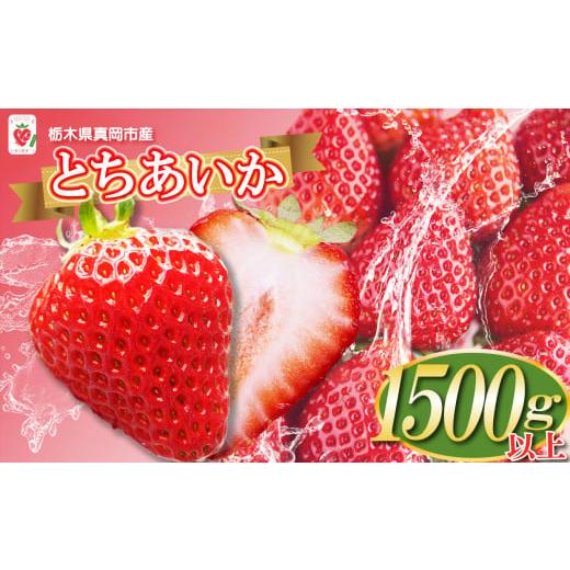 ふるさと納税 栃木県 真岡市 【先行予約】鮮度抜群 ！ 朝採れ 旬 とちあいか  750g以上×2箱...