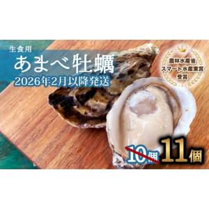 ふるさと納税 牡蠣 生牡蠣 徳島県 海陽町 先行予約 あまべ牡蠣 11個 牡蠣 シングルシード 生食用 殻付き かき カキ オイスター 生ガキ 生牡蠣 生がき 生かき …