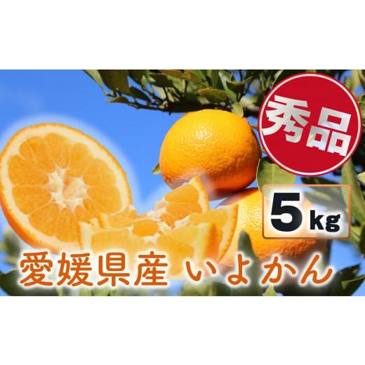 ふるさと納税 愛媛県 松山市 【来年度先行予約品】 みかん いよかん 5kg 愛媛県産 秀品 【20...