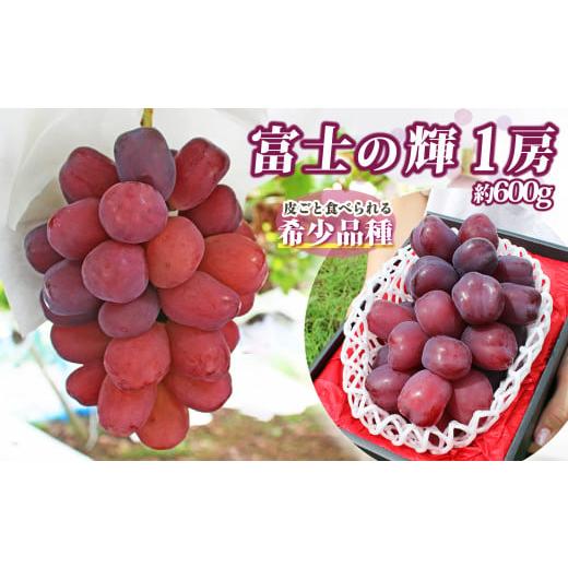 ふるさと納税 ぶどう マスカット 山梨県 笛吹市  2026年発送 先行予約 山梨県産 富士の輝 1...