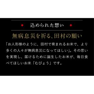 ふるさと納税 米 ひとめぼれ 福島県 田村市 ...の詳細画像5