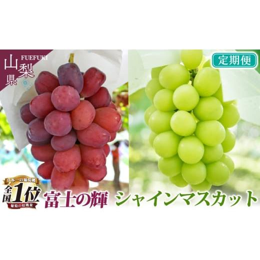 ふるさと納税 ぶどう マスカット 山梨県 笛吹市  2026年発送 先行予約 山梨県産 旬の果物 定...