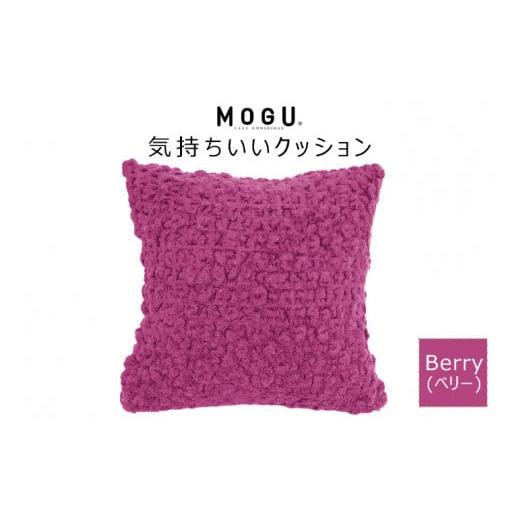 ふるさと納税 兵庫県 三木市 MOGU 気持ちいいクッション Berry（ベリー） モグ パウダービ...