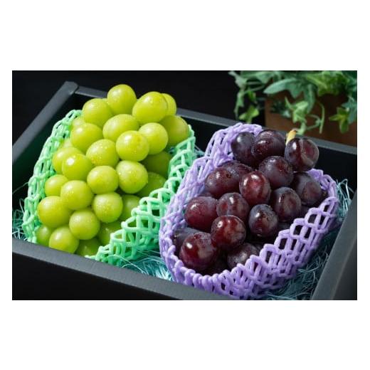 ふるさと納税 ぶどう マスカット 山梨県 笛吹市 クリスマスシャインマスカット 2房 (シャインマス...