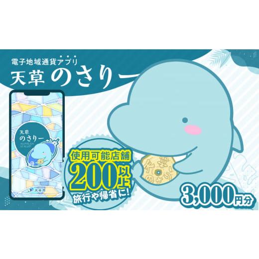 ふるさと納税 地域のお礼の品 熊本県 天草市 S777-001_天草市満喫クーポン 3000円分