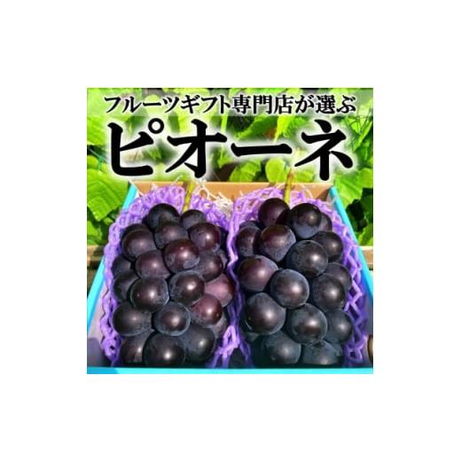 ふるさと納税 山梨県 山梨市 山梨県山梨市産　旬の採れたてピオーネ　約1kg　2〜3房【145946...