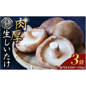 山梨県産 しいたけ原木 3本セット 菌駒打ち済み おいしい椎茸栽培 安心