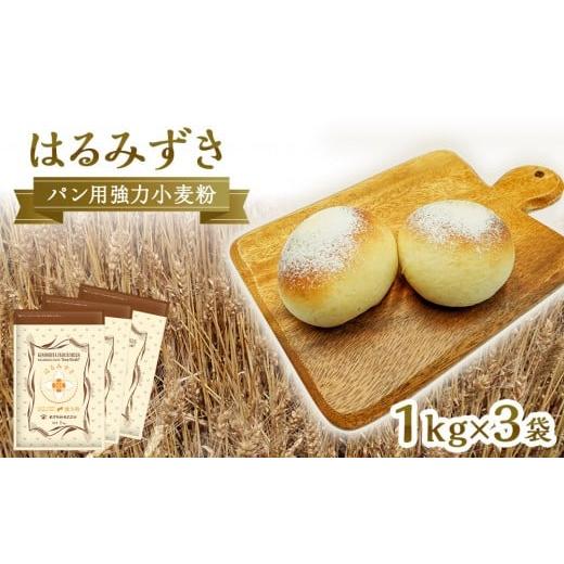 ふるさと納税 香川県 坂出市 パン用 強力小麦粉「はるみずき」1kg×3袋