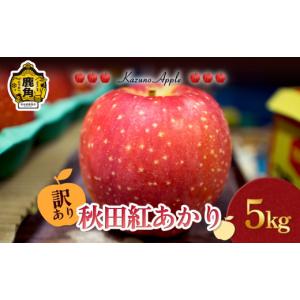 ふるさと納税 りんご 秋田県 鹿角市 《 先行...の詳細画像1