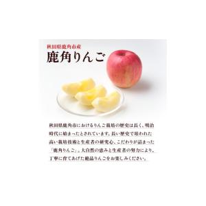 ふるさと納税 りんご 秋田県 鹿角市 《 先行...の詳細画像2
