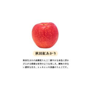 ふるさと納税 りんご 秋田県 鹿角市 《 先行...の詳細画像4