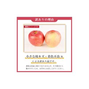 ふるさと納税 りんご 秋田県 鹿角市 《 先行...の詳細画像5