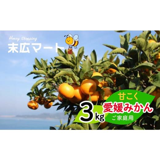 ふるさと納税 愛媛県 松山市 【 先行予約 】甘こく愛媛みかん　瀬戸内の太陽と潮風で育ったご家庭用 ...