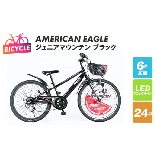 ふるさと納税 自転車 シティサイクル 大阪府 泉佐野市 AMERICAN EAGLE ジュニアマウン...
