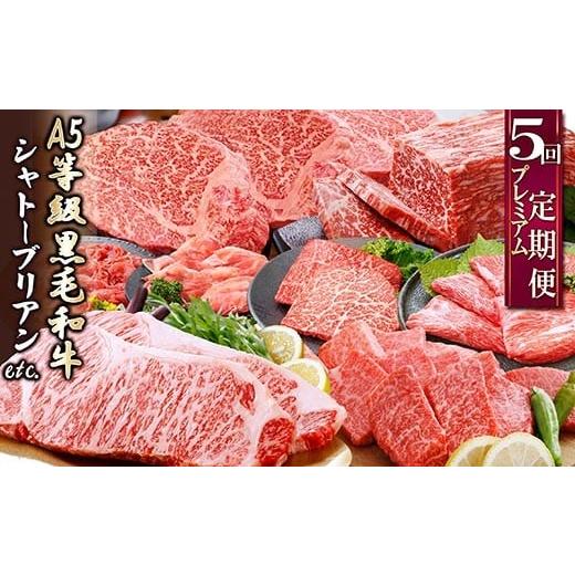 ふるさと納税 牛肉 ステーキ 鹿児島県 枕崎市 定期便(5回配送)A5等級黒毛和牛シャトーブリアン・...