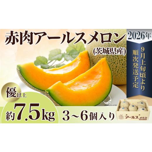 ふるさと納税 メロン メロン赤肉 茨城県 下妻市  先行予約 茨城県産 アールスメロン 「 赤 」 ...