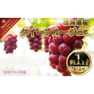 ふるさと納税 長野県 須坂市 [No.5657-3854]クイーンルージュ? 約1kg（約1〜2房）《信州グルメ市場》■2024年発送■※9月上旬頃〜10月中旬頃まで順次発送予定