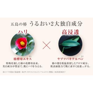 ふるさと納税 化粧水・乳液 美容液・クリーム ...の詳細画像3