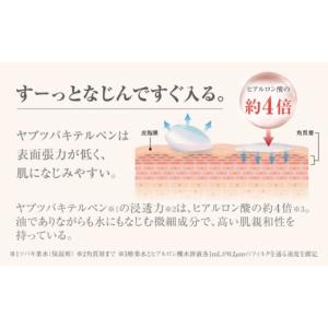 ふるさと納税 化粧水・乳液 美容液・クリーム ...の詳細画像4