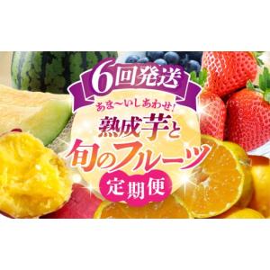 ふるさと納税 果物の詰合せ 熊本県 山鹿市 6...の詳細画像1