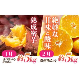 ふるさと納税 果物の詰合せ 熊本県 山鹿市 6...の詳細画像2