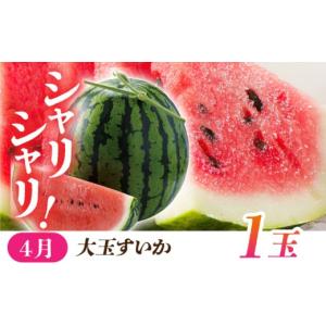 ふるさと納税 果物の詰合せ 熊本県 山鹿市 6...の詳細画像4
