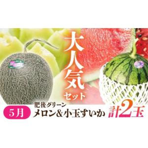 ふるさと納税 果物の詰合せ 熊本県 山鹿市 6...の詳細画像5