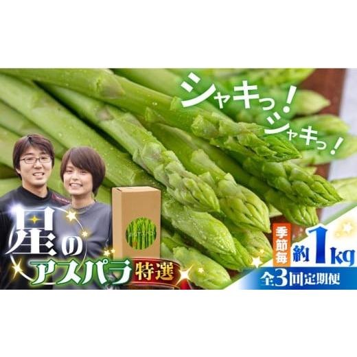 ふるさと納税 野菜類 アスパラガス 長崎県 南島原市  3回定期便 星のアスパラ 春・夏・秋 の グ...