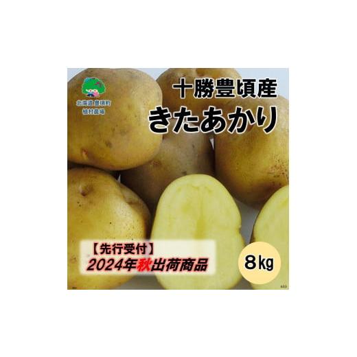 ふるさと納税 北海道 豊頃町 十勝豊頃産 きたあかり8kg【2024年秋出荷（先行受付）】［植村農場...