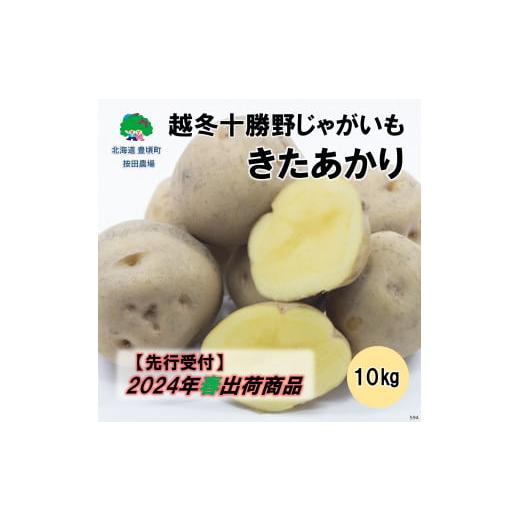 ふるさと納税 北海道 豊頃町 越冬十勝野じゃがいも きたあかり10kg【2024年3月中旬より出荷開...