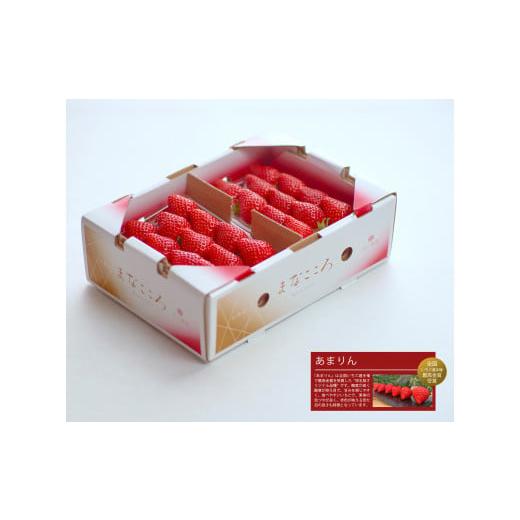 ふるさと納税 いちご 埼玉県 東松山市 いちご あまりん 2パック×260g まなこころ・葵 埼玉県...