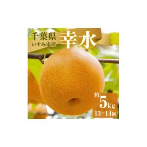 ふるさと納税 梨 千葉県 いすみ市 2026年発送先行受付 いすみ市産幸水梨　約5kg(13〜14個) 1462339