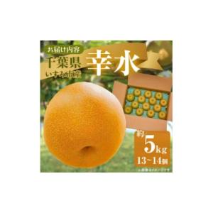 ふるさと納税 梨 千葉県 いすみ市 2026年...の詳細画像3