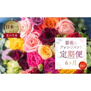 ふるさと納税 花・苗木 花束 愛知県 田原市 定期便 薔薇のアレンジメント (20本+ユーカリ) 6ヶ月 6回お届け アレンジブーケ バラ 薔薇 花束