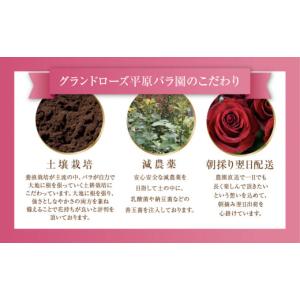 ふるさと納税 花・苗木 花束 愛知県 田原市 ...の詳細画像5