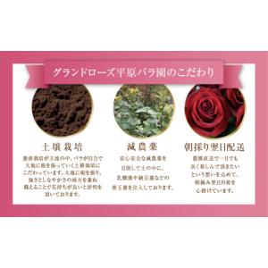ふるさと納税 花・苗木 花束 愛知県 田原市 ...の詳細画像5
