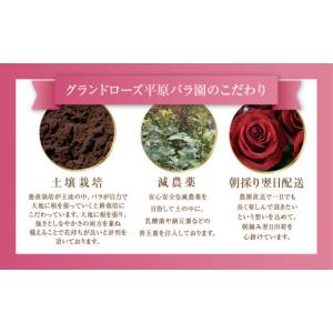 ふるさと納税 花・苗木 花束 愛知県 田原市 ...の詳細画像5