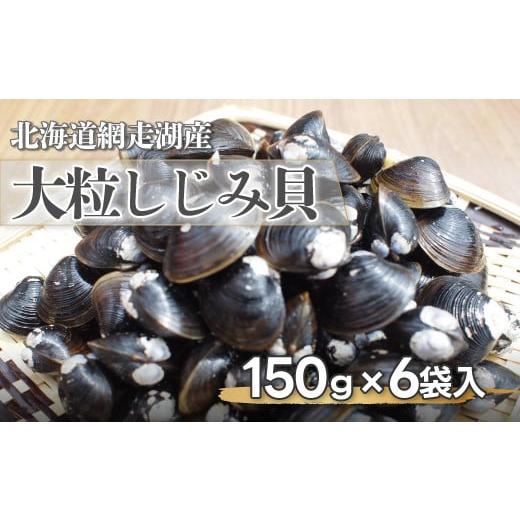 ふるさと納税 北海道 網走市 網走湖産大粒しじみ貝150g×6袋 【 ふるさと納税 人気 おすすめ ...