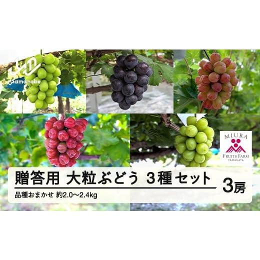 ふるさと納税 果物類 ぶどう 山形県 山辺町  先行予約 贈答用 2026年山形県産 品種おまかせ ...