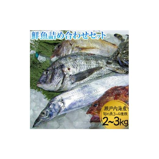 ふるさと納税 岡山県 浅口市 鮮魚詰め合わせセット 旬の魚3~4種類 2~3kg 株式会社マルキ寄島...