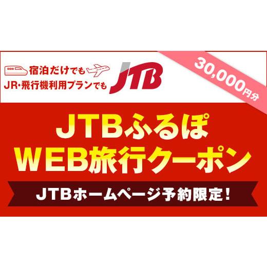 ふるさと納税 山形県 尾花沢市 【銀山温泉 尾花沢市】JTBふるぽWEB旅行クーポン（30,000円...