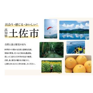 ふるさと納税 雑貨・日用品 高知県 土佐市 先...の詳細画像5