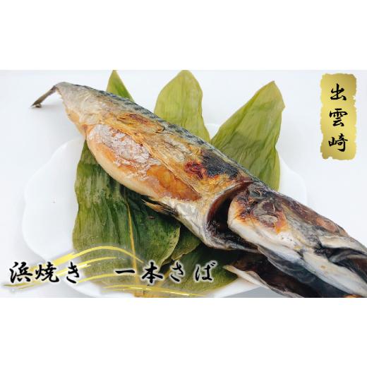 ふるさと納税 新潟県 出雲崎町 【出雲崎名物】磯田鮮魚店の「浜焼き１本さば」